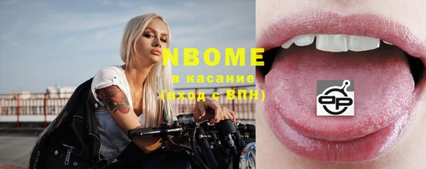 крисы Баксан