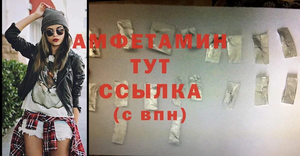 крисы Баксан